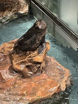 すみだ水族館に投稿された画像（2022/7/18）