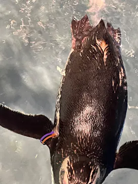 すみだ水族館に投稿された画像（2022/7/18）