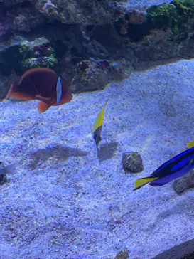 すみだ水族館に投稿された画像（2022/7/18）