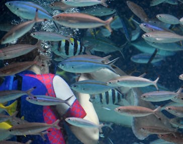 サンシャイン水族館に投稿された画像（2022/7/18）