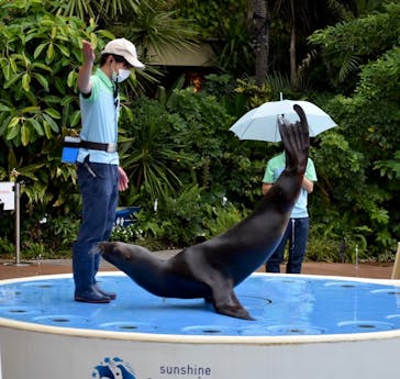 サンシャイン水族館に投稿された画像（2022/7/18）