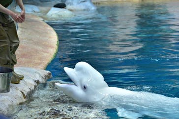 名古屋港水族館に投稿された画像（2022/7/18）