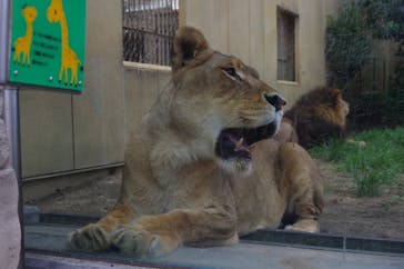 東武動物公園に投稿された画像（2022/7/18）