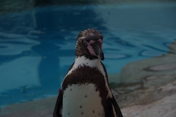 東武動物公園に投稿された画像（2022/7/18）