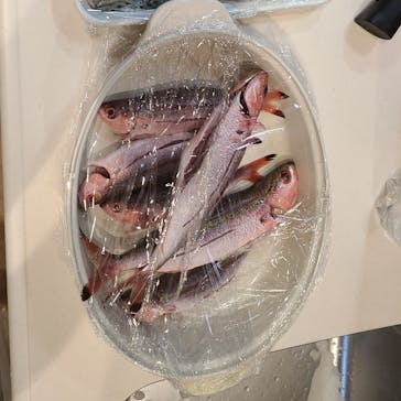 釣り船 りき丸に投稿された画像（2022/7/18）