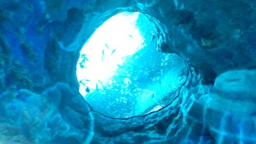 スパリゾートハワイアンズに投稿された画像（2022/7/18）