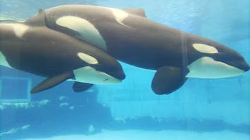 名古屋港水族館に投稿された画像（2022/7/18）