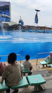名古屋港水族館に投稿された画像（2022/7/18）