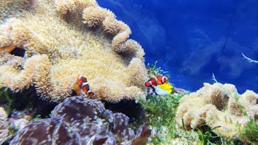 名古屋港水族館に投稿された画像（2022/7/18）