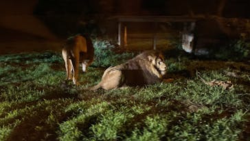 姫路セントラルパークに投稿された画像（2022/7/18）