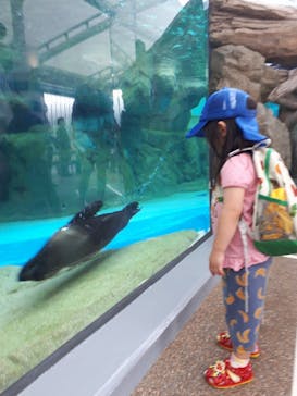 京都水族館に投稿された画像（2022/7/18）