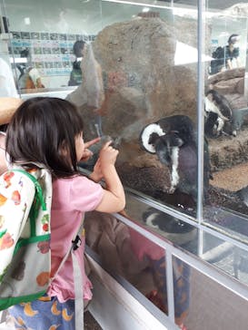京都水族館に投稿された画像（2022/7/18）
