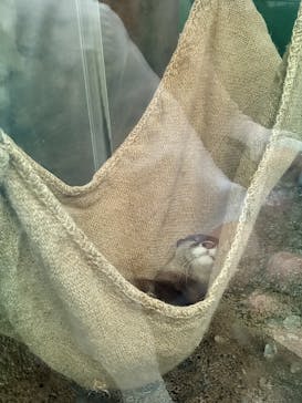 新江ノ島水族館に投稿された画像（2022/7/18）