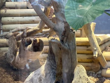 カワスイ 川崎⽔族館に投稿された画像（2022/7/19）