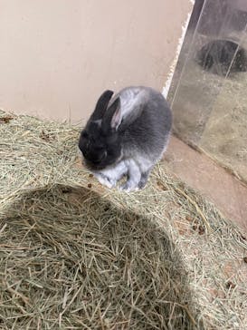 カワスイ 川崎⽔族館に投稿された画像（2022/7/19）