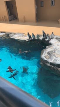 アクアワールド茨城県大洗水族館に投稿された画像（2022/7/19）