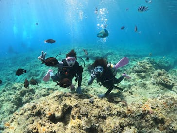 沖縄マリンサービス碧に投稿された画像（2022/7/19）