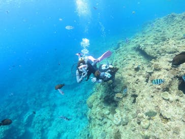 沖縄マリンサービス碧に投稿された画像（2022/7/19）