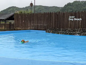 わんダフルネイチャーヴィレッジに投稿された画像（2022/7/19）