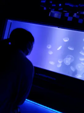 すみだ水族館に投稿された画像（2022/7/19）