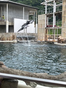 城崎マリンワールドに投稿された画像（2022/7/19）