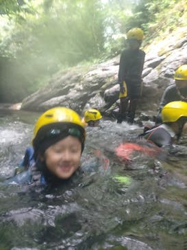 自然派企画に投稿された画像（2022/7/19）