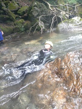 自然派企画に投稿された画像（2022/7/19）