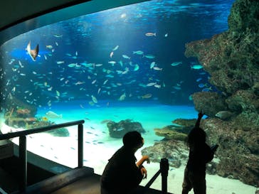 サンシャイン水族館に投稿された画像（2022/7/19）