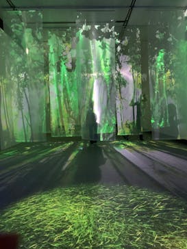 体感するファーブル昆虫展 NAGOYAに投稿された画像（2022/7/19）