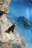 すみだ水族館に投稿された画像（2022/7/19）