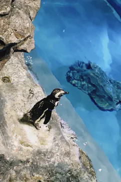 すみだ水族館に投稿された画像（2022/7/19）