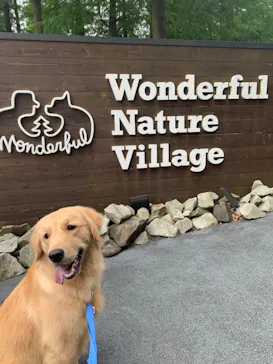 わんダフルネイチャーヴィレッジに投稿された画像（2022/7/19）