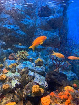 株式会社Gに投稿された画像（2022/7/19）