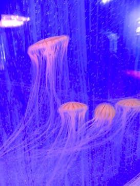 株式会社Gに投稿された画像（2022/7/19）