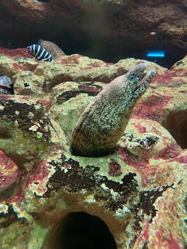 株式会社Gに投稿された画像（2022/7/19）