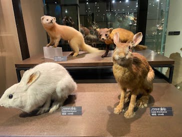 国立科学博物館に投稿された画像（2022/7/19）