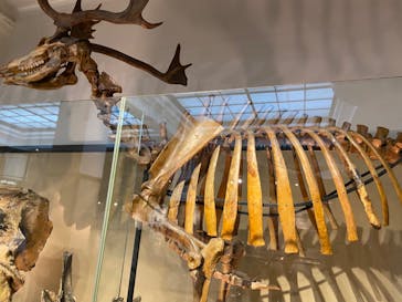 国立科学博物館に投稿された画像（2022/7/19）