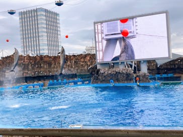 名古屋港水族館に投稿された画像（2022/7/19）