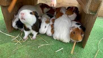 那須高原りんどう湖ファミリー牧場に投稿された画像（2022/7/19）