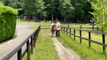 那須高原りんどう湖ファミリー牧場に投稿された画像（2022/7/19）