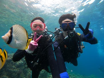 武藤潜水に投稿された画像（2022/7/19）