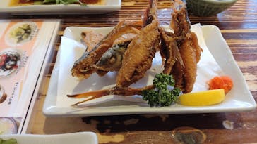 釣り船 りき丸に投稿された画像（2022/7/19）