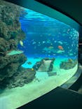 サンシャイン水族館に投稿された画像（2022/7/19）