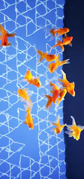 すみだ水族館に投稿された画像（2022/7/19）