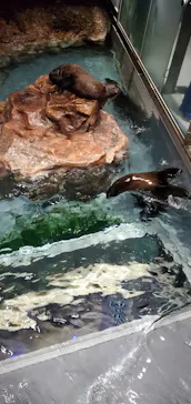 すみだ水族館に投稿された画像（2022/7/19）