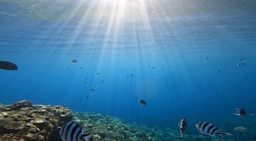 青の洞窟専門店　沖縄ダイビングショップ和に投稿された画像（2022/7/19）