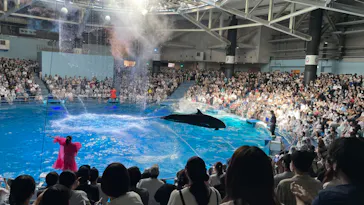 マクセル アクアパーク品川に投稿された画像（2022/7/19）