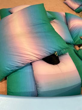 ハピピランド横浜アソビルに投稿された画像（2022/4/29）