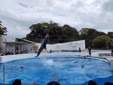 九十九島水族館海きららに投稿された画像（2022/7/19）