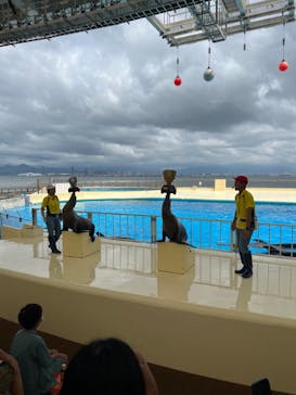 マリンワールド海の中道に投稿された画像（2022/7/19）